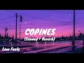 Download Lagu Aya Nakamura - Copines (Tiktok Version Slowed + Reverb)
