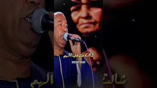 ياسر رشاد ابويا سابني فى اللفه لقيت جمل المحامل أم 