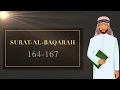 SURAT-AL-BAQARAH | Quran Recitation (Chapter 2: verse 164-167)| Umer Zaman