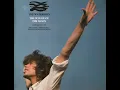 The Waterboys - The Whole Of The Moon (original 12' version)