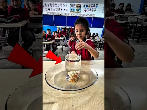 Nobody Could Get the Orange Out… Until Her! 🤯