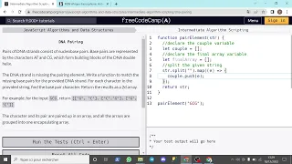 Coding Sheet N 03 DNA Pairing in