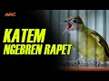 Download Lagu MASTERAN DAN PANCINGAN KAPAS TEMBAK NGEBREN RAPET SUPER GACOR
