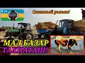 Download Lagu 🐂МАЛ БАЗАР 🐄 СКОТНЫЙ РЫНОК#тахиаташ#каракалпакистан#бахалары#цены#бука#сыйыр#коровы#бык#телята#сено