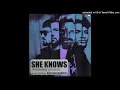 Download Lagu Dimitri Vegas \u0026 Like Mike, David Guetta, Afro Bros - She Knows (with Akon) (Jaxx \u0026 Vega Remix)