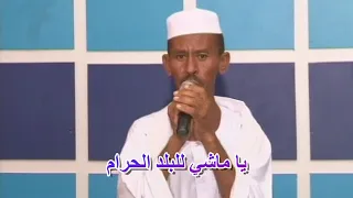 إسماعيل الخضر    يا ماشي للبلد الحرام دندنها