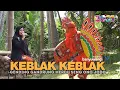 Download Lagu Tari Keblak Keblak - Sanggar Laros Osing Kemiren - Aktualisasi Seni Budaya Banyuwangi 2021
