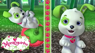 Moranguinho 🍓 Rocambole Desastrado! 🍓 Aventuras Em Frutti 🍓 Animado Para crianças