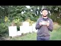 Ohio State ECE Capstone Saving Beehives Technology