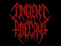 Ancient decay - Rise of the beast