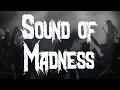 Download Lagu Shinedown - Sound of Madness (Lyrics)