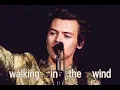Download Lagu Harry Styles - Walking in the wind