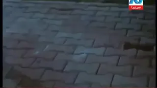 اغنيه عبد الباسط حموده خد منى قلبي واديني قلبك دندنها