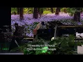 Download Lagu CityAlight \u0026 Skye Peterson Are LIVE at Sing! | Join Us Now for the Virtual Conference
