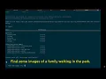 Amazon Q Developer CLI with Model Context Protocol MCP Server no