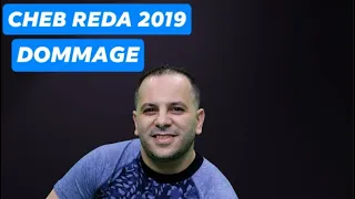 CHEB RÉDA DOMMAGE الشاب رضا دوماج OFFICIAL LYRICS VIDÉO 2019 
