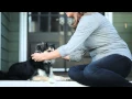 PetSafe Wireless Pet Containment System