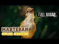 Download Lagu 🔴 MASTERAN CUCAK JENGGOT GACOR FULL BESET SPEED RAPAT | 24 JAM NONSTOP !!
