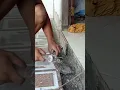Download Lagu lek golek wong kerjo ki deloken sek ya lor ya🤣