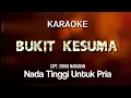 Download Lagu Bukit kesuma karaoke || Nada tinggi untuk pria atau nada standar wanita || Cipt. Eriko Nababan