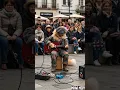 Download Lagu You Won’t Believe This Cat Playing Guitar in the Park! 🏞️🎸 🥰 Miaw Meoy ❤️ #cat #cute #shorts #ai