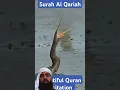 Download Lagu Al-Qari'ah Egzon Ibrahimi #egzonibrahimi #quran #alqariah #quranrelaxingrecitation