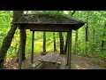 Wandering around the woods at Lake Michigan campsite Beautiful summer day