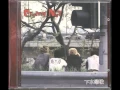 Download Lagu 크라잉넛 - 밤이깊었네.wmv