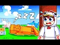 Download Lagu Ne Réveillez pas les Brainrots sur Roblox CHUUUTT...