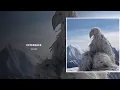 Sgarz - interface opium birds