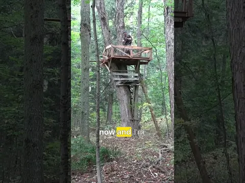 Word's most impressive squirrel hunting platform!