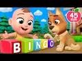 Bingo the Dog  (Farm Version) + MORE Lalafun Nursery Rhymes \u0026 Kids Songs