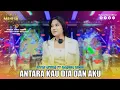 Download Lagu INTAN AFIFAH - ANTARA KAU DIA DAN AKU | Mahesa music