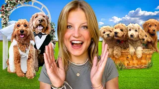 Our Dog got Married and had PUPPIES THE MOVIE Emotional