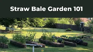 Straw Bale Garden Start to Finish