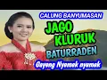 Lagu JAGO KLURUK CALUNG BANYUMASAN GAYENG NYEMEK NYEMEK KAGEM JAMPI SAYAH.