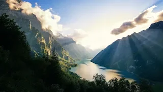 هاني شاكر لاياقلبي دندنها
