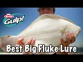 Using Gulp to Catch a Giant Fluke From Shore Best Lure and Technique For Keepers