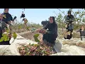 Download Lagu Iranian woman who escaped poverty by picking pistachios! | Inspiring true story
