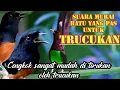 Download Lagu suara masteran trucukan// suara khas murai batu dengan cengkok yang mudah di tirukan oleh trucukan