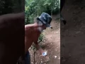 Download Lagu Aqui mesmo eu Bebo a qui Caio