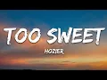 Download Lagu Hozier - Too Sweet (Lyrics)