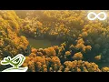 Download Lagu Beautiful Relaxing Music • Calm Piano Music \u0026 Guitar Music with Birds Singing
