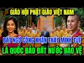 Download Lagu Tin vui🔥Không Ai Ngờ! GIÁO HỘI PHẬT GIÁO VIỆT NAM Chính Thức Công Nhận Thầy Minh Tuệ LÀ QUỐC BẢO !