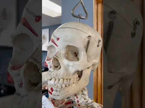Your Bones Are Constantly Changing