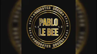 pablo le bee road to felo christian bassmachine 