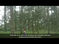 Download Lagu Manungsa tan keno kiniro (ina estiaji mardillah)