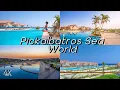 Download Lagu Pickalbatros Sea World - Marsa Alam 4K