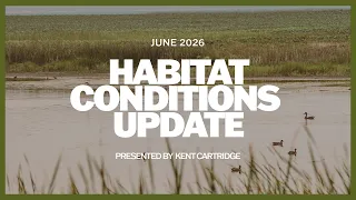 June 2026 Waterfowl Breeding Habitat Conditions Update