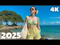 Download Lagu Relaxing Ocean Summer Vibes 2025 🌊 Chill Vocal Tropical Deep House Mix | 4K UHD Music for TV